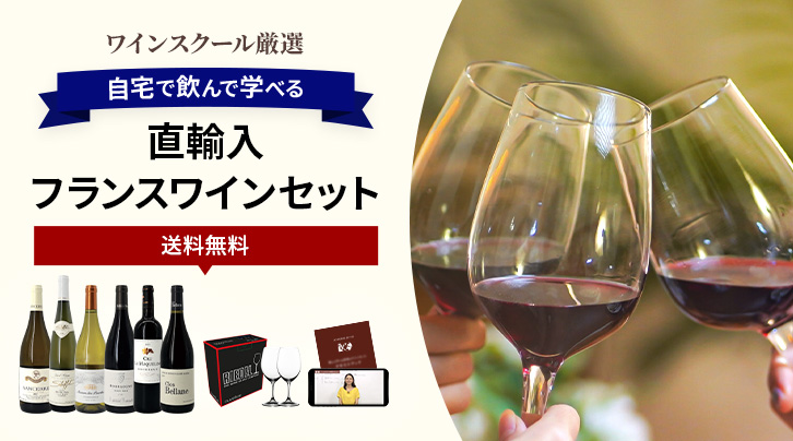 ワインスクール厳選 自宅で飲んで学べる直輸入フランスワインセット 送料無料
