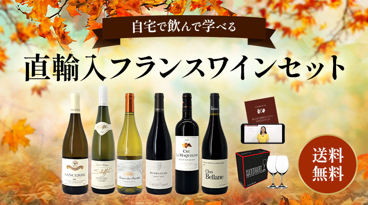 自宅で飲んで学べる 直輸入フランスワインセット 送料無料