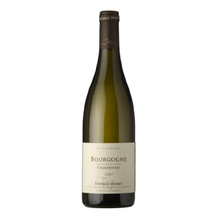 ドメーヌ・トマ・モレ　ブルゴーニュ・シャルドネ　2017-Bourgogne Chardonnay