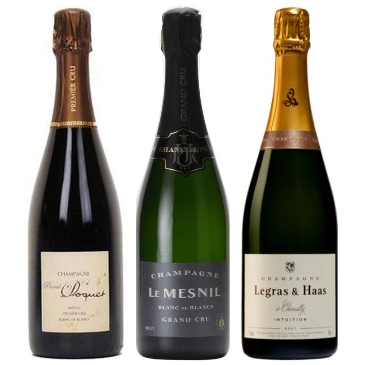 アカデミー・デュ・ヴァン直輸入シャンパーニュ3本セット-Academie du Vin Champagne Selection 3-bottle Set