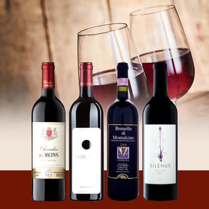 アカデミー・デュ・ヴァン直輸入赤ワイン4本セット-Academie du Vin Red Wine Selection 4-bottle Set