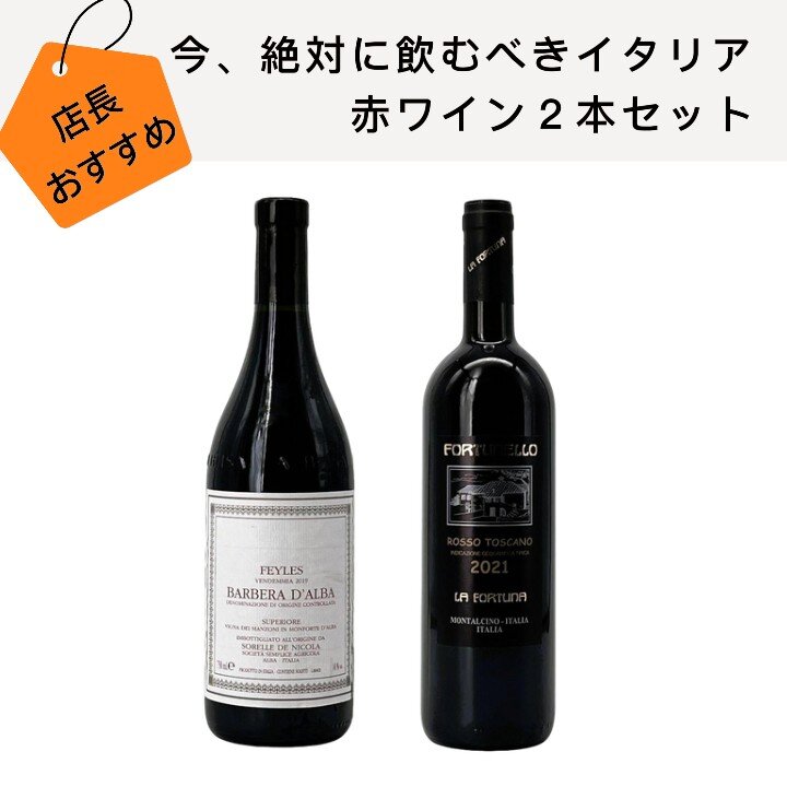 店長おすすめワインセット　今、絶対に飲むべきイタリア赤ワイン2本セット