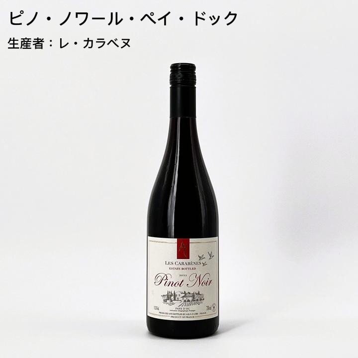 【当店No.1ロングセラー！】店長おすすめワインセットvol.1 　厳選！最高の日常家飲みワイン編5本セット　3/14再入荷-Caves de la Madeleine Sommelier's Recommendation vol.1