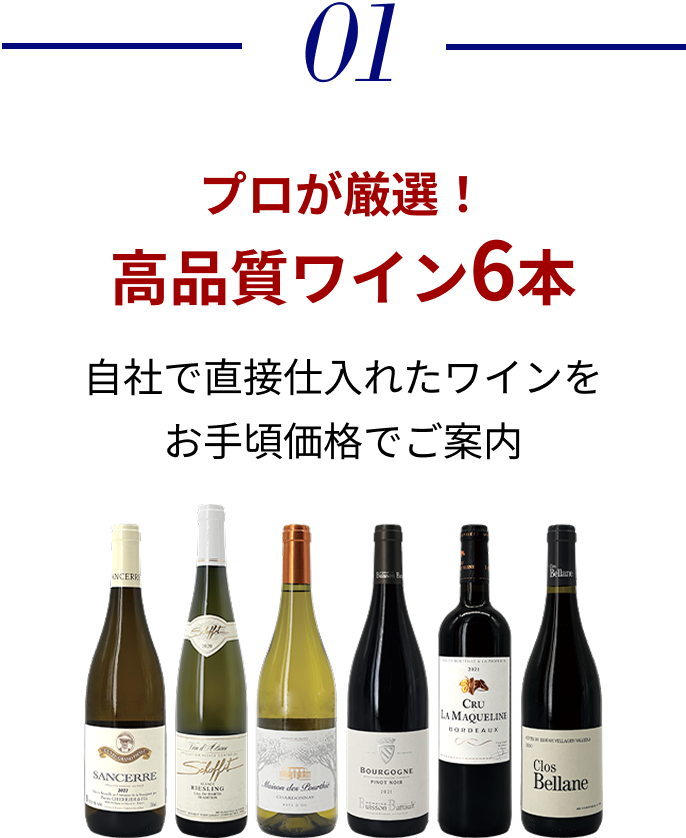 プロが厳選！高品質ワイン6本 自社で直接仕入れたワインをお手頃価格でご案内