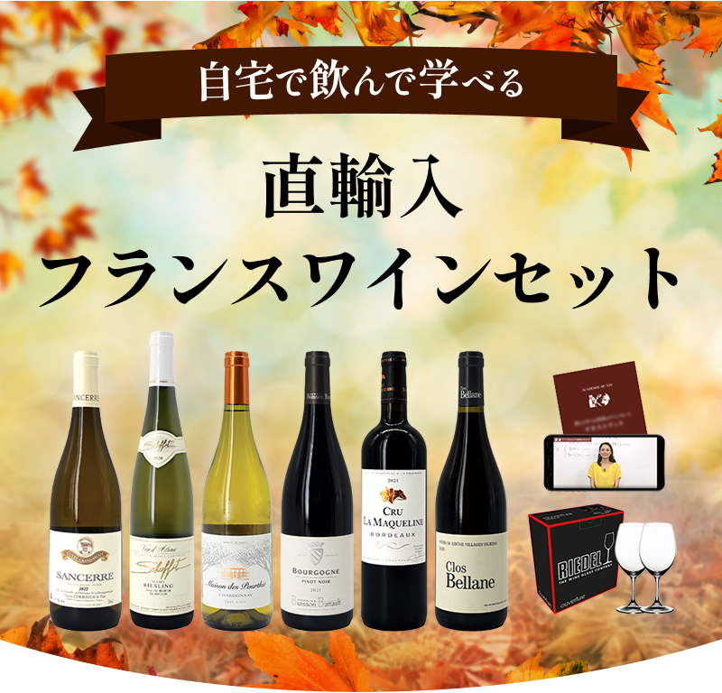 自宅で飲んで学べる 直輸入フランスワインセット
