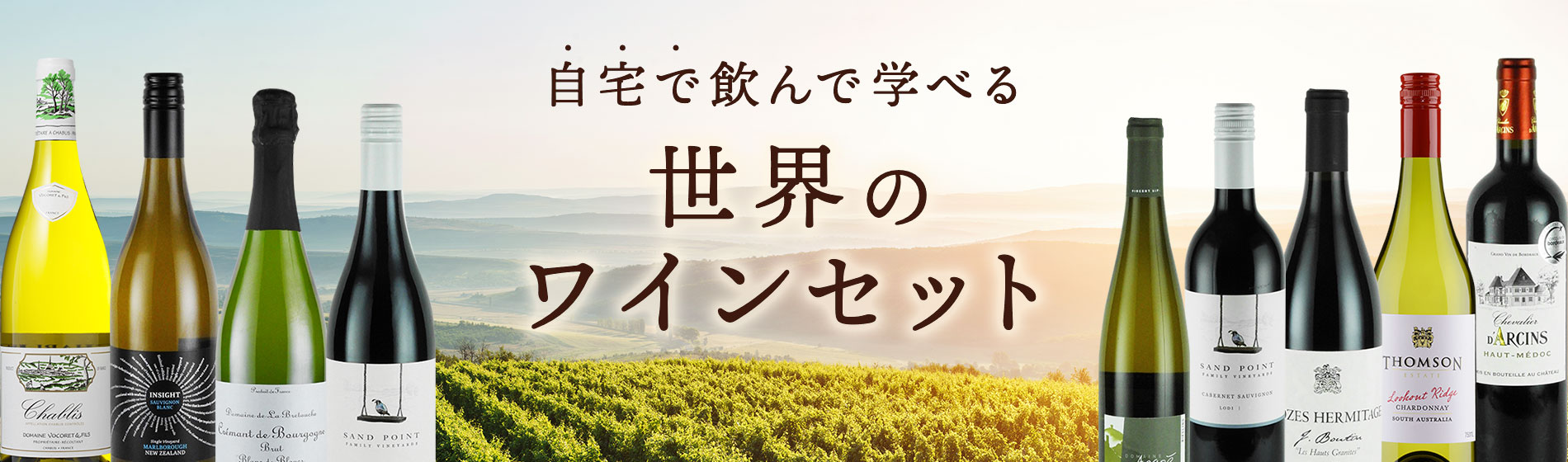 世界のワインセット